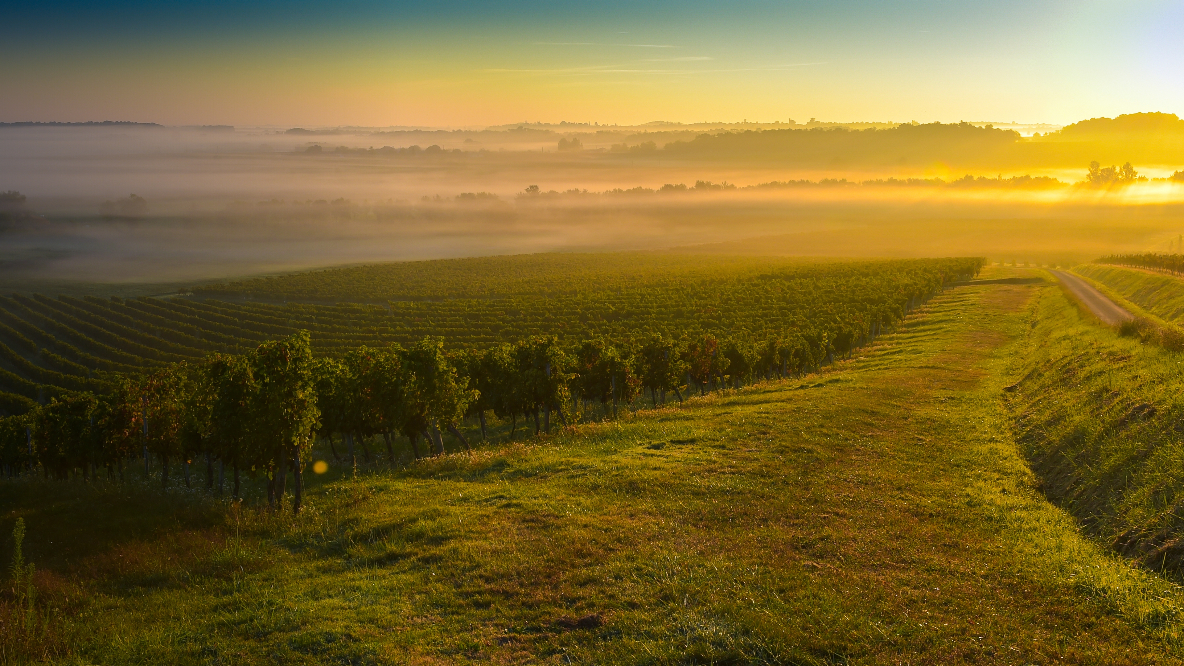 Excellence Vin Médoc
